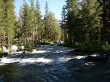 DSCN0981